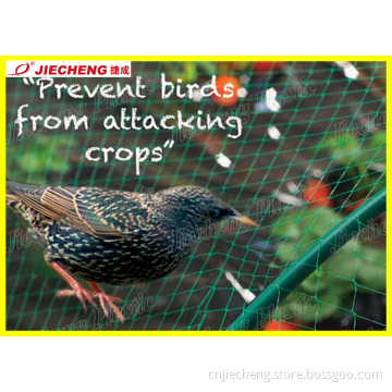 Plastic Anti Bird Mesh Machine